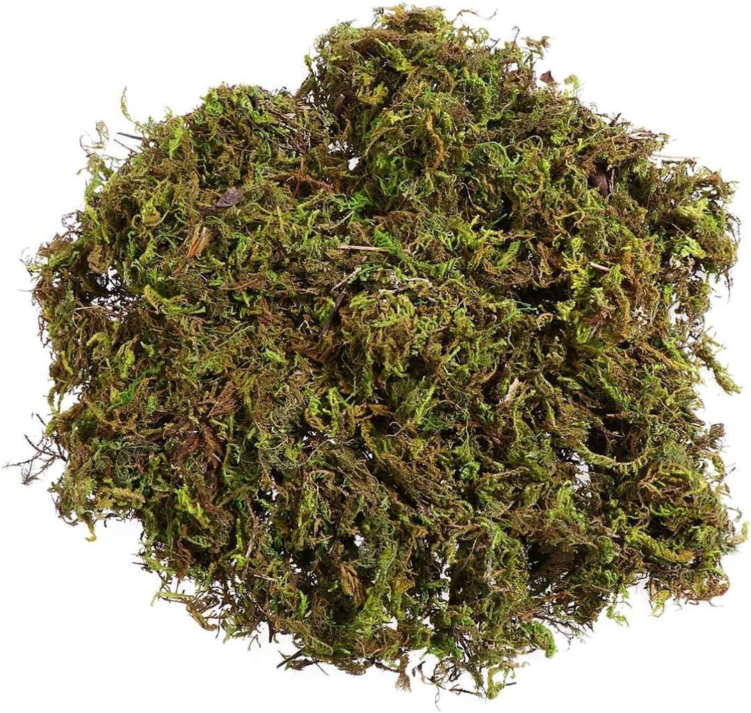 VOSAREA 1 Pack Artificial Moss Fake Lichen Simulation Green Faux Pot Moss for DIY Miniature House (About 60g)