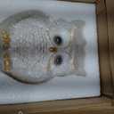 White and Gold Owl Statue - Cute Resin Figurine Home Decor for Desk Bookshelf Coffee Table, Gift for Owl Lovers, Office Living Room Bedroom Decor
