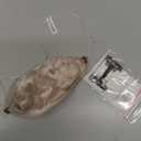 MILANO COLLECTION Glueless Top Grip for Hair Topper & Wiglets, Adjustable Translucent Strap with Side Openings, Top Headband for Your Wig or Topper, Includes Clips, Beige, Medium