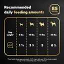 Cesar Filets in Gravy, Adult Wet Dog Food, Rotisserie Chicken Flavor, Wet Food for Dogs, 3.5 oz Trays, 24 Count