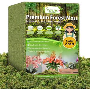 Legigo 2.6 LBS Green Moss for Plants Indoor, Crafts Moss for Artificial Plants, Decorative Dried Moss Forest Moss for Fake Potted Plants, Fairy Garden, Table Centerpieces and Terrarium Decor