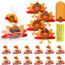 20 Set Thanksgiving Fall Turkey Plush Stuffed Animal with Cards Bulk 4.5 Inch Mini Plush Turkey Toy Gifts Small Cute Soft Stuffed Toys for Kids Thanksgiving Party Favors Home