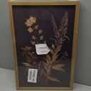 Framed Dark Botanical Wall Art Set of 3, Black Moody Floral Wall Decor Paintings, Dark Academia Decor, Vintage Flower Artwork Prints Pictures for Living Room Bedroom Bathroom 12x16 Inch, 16L" x 12W"