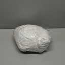 Zipper Mattress Cover Size Twin