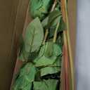 Hananona Artificial Roses Flowers for St. Patrick's Day，12 Pcs Silk Green Rose Bouquet for Spring Home Decoration, Green Faux Roses for Wedding