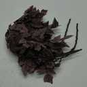 Hananona 4 Pcs Artificial Cimicifuga Leaf Spray, 23 in Faux Burgundy Fall Greenery Branch with Long Stems for Vase, Farmhouse Thanksgiving Autumn Centerpiece Halloween Decor (4, Chocolate, 23 in)