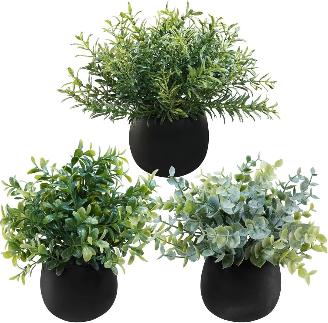 Winlyn Set of 3 Small Potted Faux Plants 8" Artificial Eucalyptus Rosemary Boxwood Plants in Black Concrete Pot Desk Plants for Home Office Bathroom Kitchen Counter Shelf Coffee Table Windowsill Dcor (Black Pots)