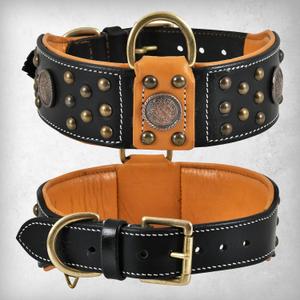 Genuine Leather Cupola Series Dog Collar | Celtic Conchos & Gold Dome Rivets | Soft, Cushion Padding, Handmade | Best for Medium, Large, XL Breeds (XL (Neck Size 22.5"-25.5"), Sable Black)