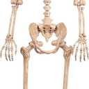Crazy Bonez Original Pose-N-Stay Halloween Skeleton, 5 FT – Life-Size, Realistic, Fully Poseable Indoor & Outdoor Decoration, Durable Plastic Spooky Prop for Yard, Porch, Haunted House