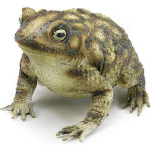 AK049 Rubber Toad Prop, Green/Brown