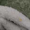 LUZARTA Twin Electric Blanket 62"X84" Green  Soft Thick Warm Sherpa Heated Blanket for Winter with 5 Fast Heating Levels & 10hrs Auto Off for Women Gift, Washable & ETL Certified for Office, Bed