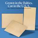 Baltic Birch Plywood 12 x 12 x 1/2 Inch - 12 mm Craft Wood, Pack of 2 B/BB Grade, Stronger Than Basswood Sheets/Balsa Wood, Perfect for Laser, CNC Cutting, Shelf Boards 12 inch Wide, by Woodpeckers