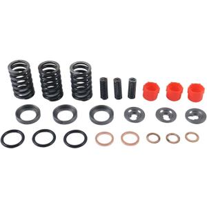 3 Cylinder Fuel Injection Pump Repair Kit compatible with Shibaura N843 for Isuzu KR1 for Kubota D650 D750 D850 D950