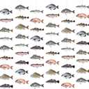Pasimy 8 Pcs Fishing Birthday Party Decoration Banner Fish Garland Party Decoration for Fishing Fisherman Competition Tournament Retirement Barbecue Ofishally One Birthday Decor Supplies