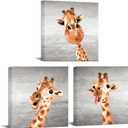 Apicoture Giraffe Canvas Wall Decor Funny Animal Paintings Framed Wall Art For Kids Room Nursery Wall Decor,12"X12"X3 Pieces