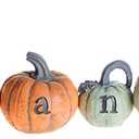 MorTime Thanksgiving Decorations Hand-Painted Turkey Pumpkin with Engraved Thanks, Set of 6 Tabletop Fall Autumn Decor for Living Room Bedroom Kitchen Thanksgiving Harvest Day