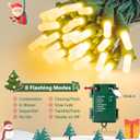 2 x YOUNGAR Green Wire Christmas Lights,50LED Battery/USB Operated String Light,Twinkle Lights with Timer Memory Waterproof Outdoor with 8 Modes for Tree, Yard, Garden, Patio Decor (Warm white battery)