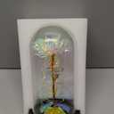 Childom Mothers Day Mom Gifts for Mom,Birthday Gifts for Women Moms Grandma,Flowers for Delivery Prime,Colorful Light Up Rose in A Glass Dome,Anniversary Valentines Roses Gift for Her Wife Daughter