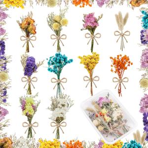 10 Pcs Mini Dried Flowers Bouquet Natural Gypsophila Don't Forget Me Dried Flowers Bouquet Plant Stem Bunch for DIY Craft Card Photo Props Vase Wedding Decor(Colorful)