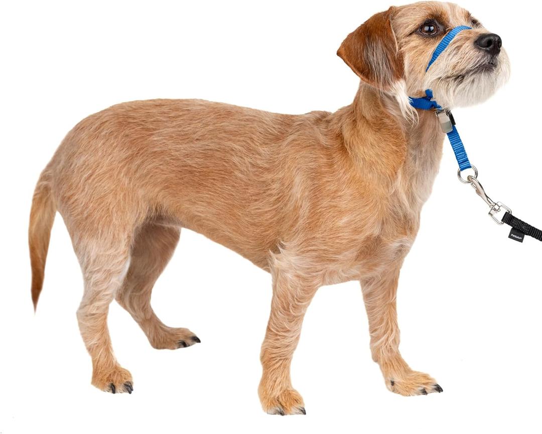 PetSafe Gentle Leader No-Pull Dog Headcollar - The Ultimate Solution to Pulling - Redirects Your Dog's Pulling for Easier Walks - Helps You Regain Control - Small, Royal Blue