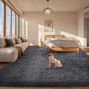 Ophanie Area Rugs for Bedroom Living Room, Grey Fluffy Fuzzy Shag Shaggy Soft Plush Carpet, 2x3 Small Throw Non Slip Mini Door Entryway Dog Mat, Indoor Gray Rug for Kids Home Dorm Decor Aesthetic