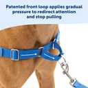PetSafe Easy Walk No-Pull Dog Harness - Ultimate Harness to Help Stop Pulling - Pull-Free Walks - Take Control & Teach Better Leash Manners - Patented Martingale Loop Design - Royal Blue, Large