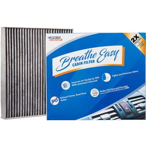 Spearhead Odor Defense Breathe Easy Cabin Filter | Fits 06-07 Azera, 07-09 Santa Fe, 06-09 Sonata, 22-24 Carnival, 07-10 Optima Like OEM | Up to 25% Longer Lasting w/Activated Carbon (BE-381)