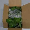 2 Pack Vines with Lights Battery Operated, 6.56ft 20 LED Vines with Fairy Light, Leaf Light with 8 Modes, Fake Vines Ivy String Lights for Bedroom, Wall, Room, Garden, Party Decor