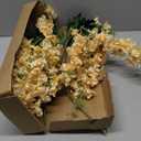 8PCS Delphinium Artificial Flowers Champagne Silk Faux Flowers 33.5'' Long Stem Fake Larkspur Flowers for Tall Vase Home Wedding Garden Table Decor(Champagne)