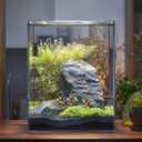 Vimvins 5 Gallon Glass Fish Tank, Easy to Maintain Small Aquarium for Betta/Snails/Shrimp and Aquatic Planting.