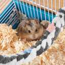 YARNOW Climbing Rope Toy for Squirrel, Sugar Gliders, Rats and Ferrets - Multi-Functional Hanging Perch for Bird Cage, Encourages Activity and Enrichment