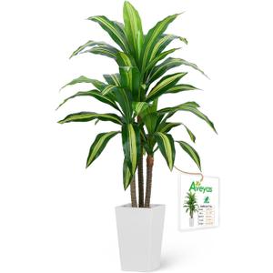Aveyas 4ft Artificial Dracaena Tree for Home Decor, 4 Feet Real Touch Large Faux Plant Fake Silk Floor Trees with Pot for Indoor Outdoor House Living Room Office (4 ft Tall Including Raised Pot)