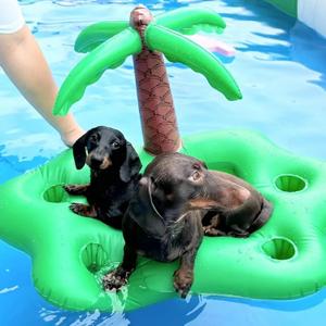 Dog Pool Float Inflatable Pool Floats Raft for Small Dog Swimming Float Toys for Summer, Scratch Resistant and Durable, Easy Set Up for Pool, Lake, River Premium Comfort Pet Water Float for Outside