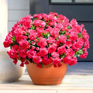 Waipfaru Outdoor Faux Plants Flowers for Outdoor Planters, 4 Large Bundles UV Resistant Artificial Flowers for Outdoors, Realistic Fake Silk Camellia Flowers for Outside Front Door Porch Patio Balcony