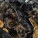 REYNA Short Afro Kinky Curly Bundles 8 Inches 3 Bundles Synthetic Hair Weave Extensions for Black Women Ombre Golden Curly Bundles(8 8 8 Inch T1/27#)