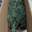 National Tree Company 4 ft Pre-Lit Grande Canadian Fir Mini Artificial Christmas Tree, 100 Clear Lights, 230 Tips, Includes Stand, Green
