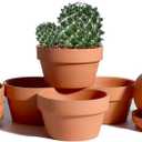 Vensovo 5.7 Inch Terracotta Shallow Succulent Pot - 6 Pack Terra Cotta Clay Pots with Saucer, Cactus Terra-Cotta Indoor and Outdoor Planters with Drainage Hole (Brown)