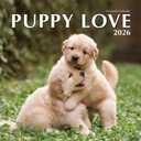 3 x 2026 Puppy Love Hangable Wall Calendar - 12" Full Page Months Dog Cute Funny Puppy Dogs Photography - Organizing & Planning (2026 Puppy Love)