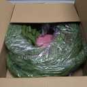 WBHome 9ft Real Touch Norfolk Pine Christmas Garland, Winter Greenery Garland for Christmas, Holiday Seasonal Outdoor/Indoor Home Decor, 9FT Long