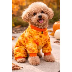 Fall Dog Outfit, Cute Dog Halloween Costumes, M