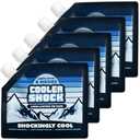 4 Pack Cooler Shock Reusable Ice Packs for Cooler, 6.5"x7.5" - Long Lasting Cold Freezer Packs for Coolers and Lunch Boxes - Cooler Ice Packs for Camping Gear, Fishing, Road Trips, Beach Must Haves