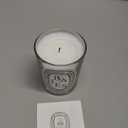 Diptyque Baies Candle-6.5 oz.