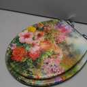 Angol Shiold ROUND Resin Soft Close Toilet Seat Flowers 16.5" | Quick Release Heavy Duty Decorative Acrylic Seats Easy to Install & Clean (Abstract Floral Art Print)