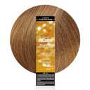 L'Oral Technique HiColor Browns & Blondes Permanent Hair Color | Lifts Dark Hair in One Step | No Brassiness | Rich, Smooth Creme Formula | Intense, Long-Lasting Color | Coolest Brown