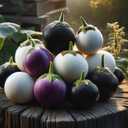 7 x 30+ Seeds Eggplant Round Mix - Vegetable Multicolor
