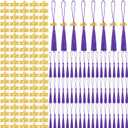 Cindeer 100 Pcs Mini Graduation Tassels with 100 Pcs 2026 Tassel Charms for Crafts Mini Silky Bookmark for Graduation Cap Keychain Ornaments DIY Craft Jewelry Making Project(Purple)