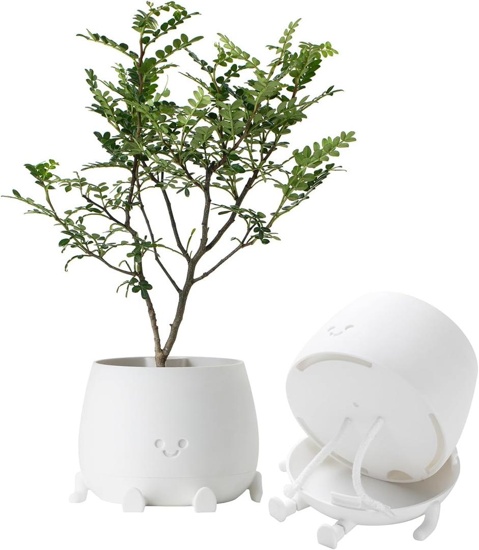 TOPOLA Happy Face Planter, 5.2 Inches Plastic Plant Pot, Self Watering Plant Pot with Drainage Holes for Indoor Outdoor, Succulent Pot, Funny Flower Pot, White