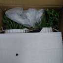 Hollyone Artificial Succulents Plants Set of 2 Faux Succulents 9" Fake Succulent Plants in Ceramic Pot Succulent Plant for Desk Modern Home Living Room Office Table Shelf Bathroom Decor (Style 1)