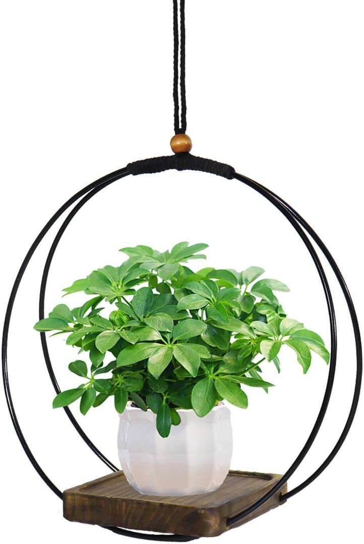 vensovo Hanging Planter for Indoor Plants - 1 pcs Plant Hanger Indoor with Metal Ring and Sturdy Wood Base, Boho Hanging Planter for Wall/Window/Room Decor