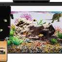 Aquarium kit Betta Fish Tank, Smart Aquarium That Supports Bluetooth, Small Fish Tank with Filter Light Coral Water Pump, Fish Tank Starter Kits Fish Bowl (Black)